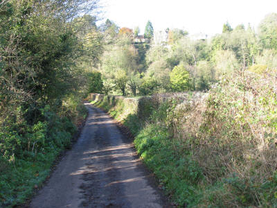 Rosemary Lane by Freshford Mill Somerset