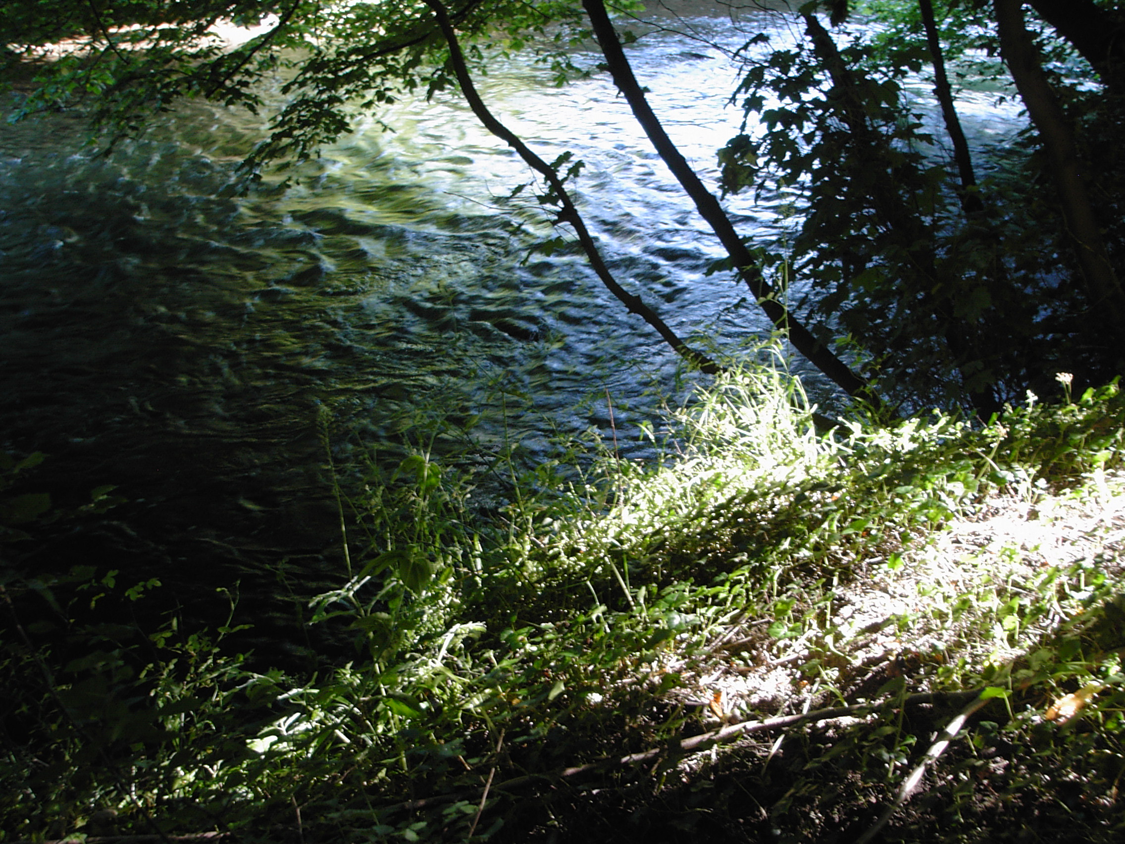 River Frome Somerset in between Freshford and Freshford Mill