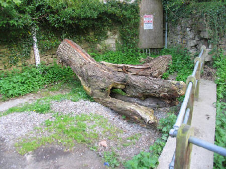 Flotsam and Jetsam Deposited on Freshford Mill Bridge by the Flooding River Frome