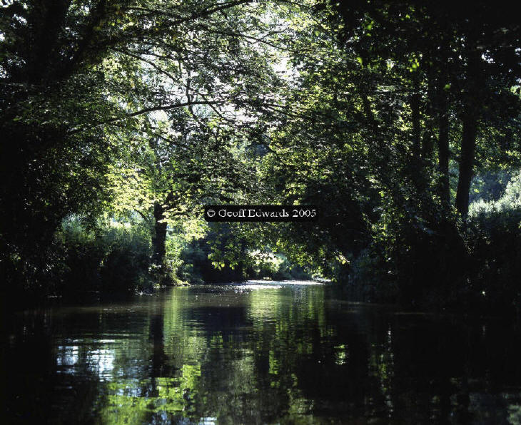 The River Frome in Somerset near Freshford Mill