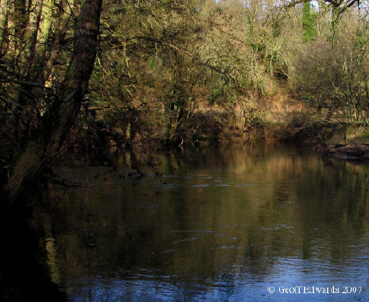 The river Frome near Freshford Mill January 2007